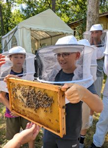 Bienen 2026 (1)