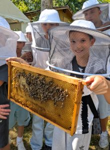 Bienen 2026 (2)