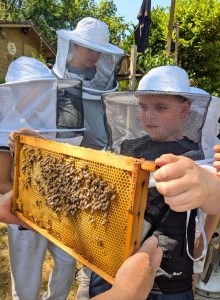 Bienen 2026 (3)