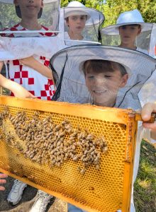 Bienen 2026 (4)