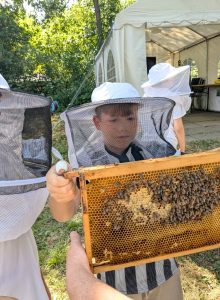 Bienen 2026 (5)