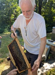 Bienen 2026 (6)